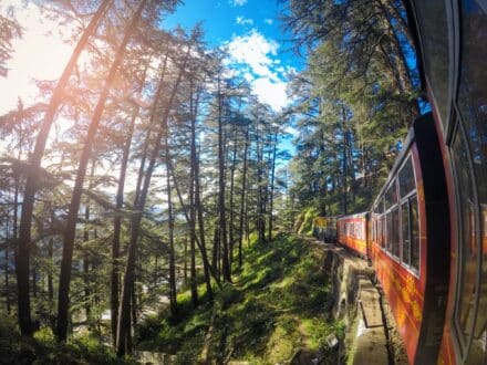 Kasauli Tour Packages